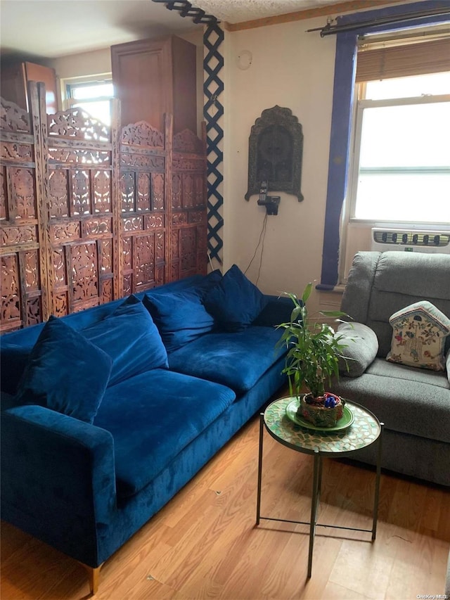 living room featuring wood-type flooring