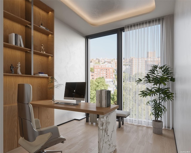 office area featuring light hardwood / wood-style floors, expansive windows, and a healthy amount of sunlight