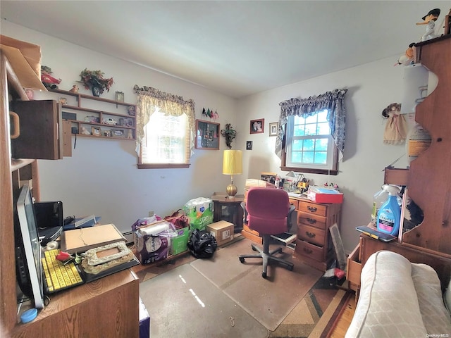 home office featuring baseboard heating and wood-type flooring