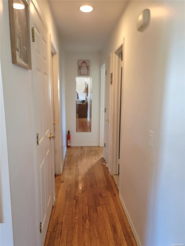 hall featuring light hardwood / wood-style floors