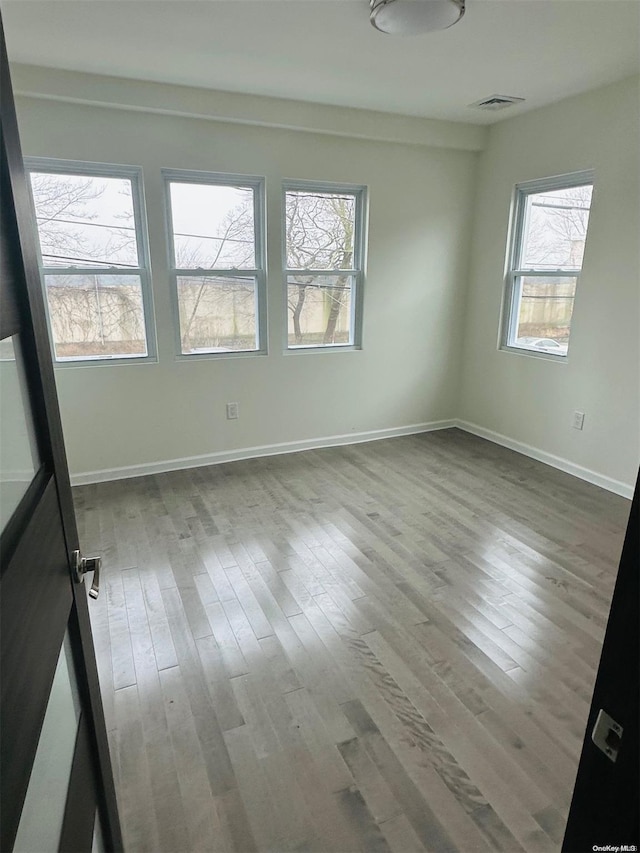 unfurnished room with a healthy amount of sunlight and light wood-type flooring