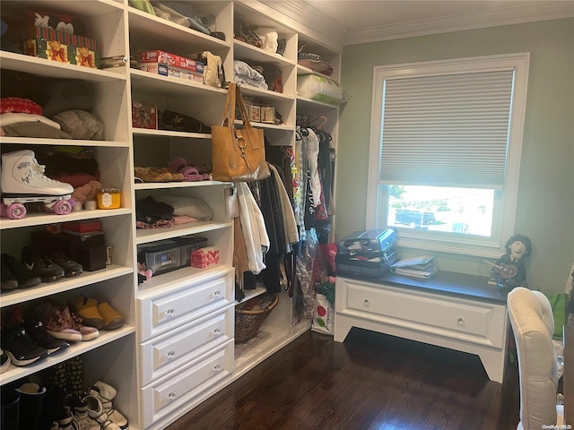 spacious closet featuring dark wood-type flooring