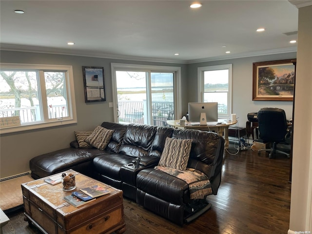 living room featuring crown molding, a healthy amount of sunlight, and dark hardwood / wood-style floors