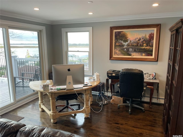 home office featuring dark hardwood / wood-style floors, ornamental molding, and a baseboard radiator