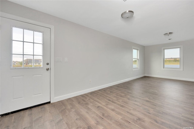 interior space featuring light wood-type flooring and a wealth of natural light