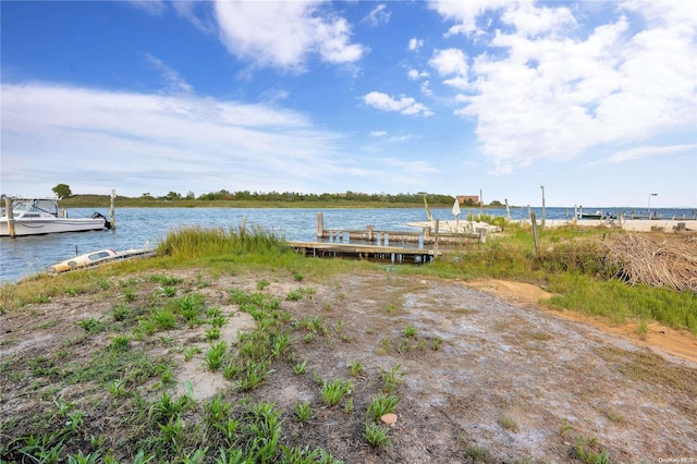 dock area with a water view