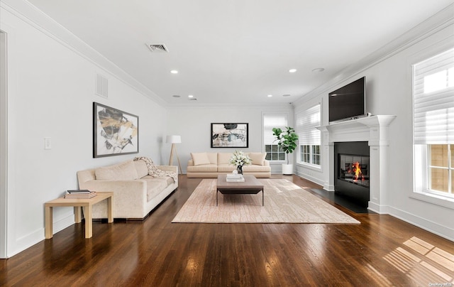 living room featuring hardwood / wood-style floors, a wealth of natural light, and ornamental molding