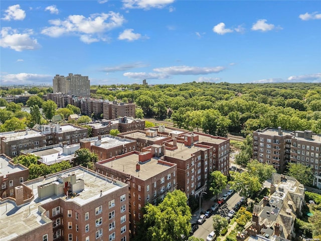 bird's eye view