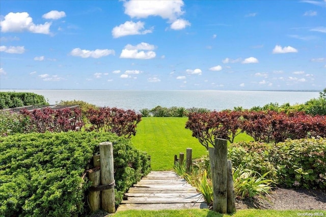 view of property's community with a water view and a lawn