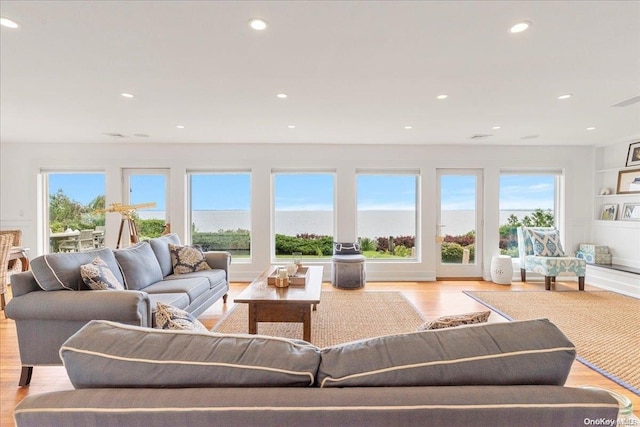 living room featuring light hardwood / wood-style floors