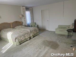 bedroom featuring carpet flooring