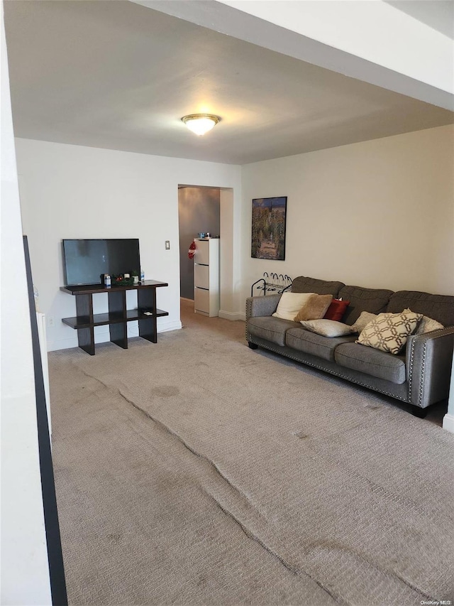 living room with carpet floors