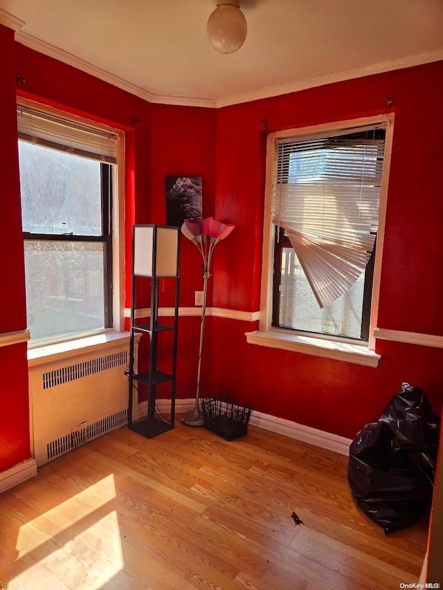 interior space featuring wood-type flooring, radiator heating unit, crown molding, and a wealth of natural light