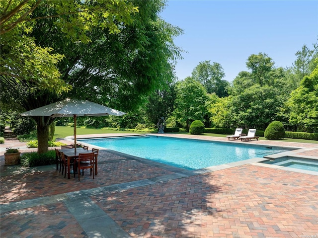 view of swimming pool featuring a patio area