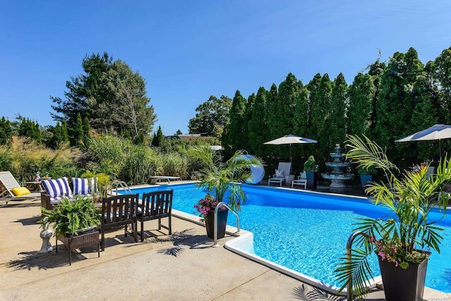 view of pool featuring a patio