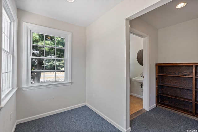 interior space featuring carpet flooring