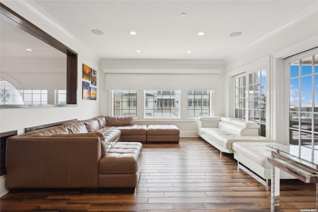 living room featuring dark hardwood / wood-style floors and crown molding