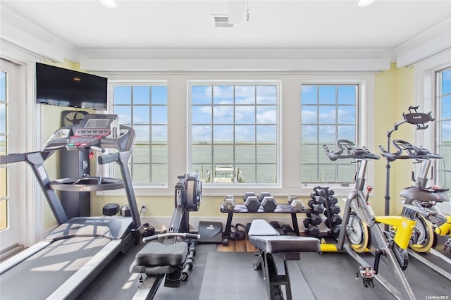 gym featuring plenty of natural light and hardwood / wood-style floors