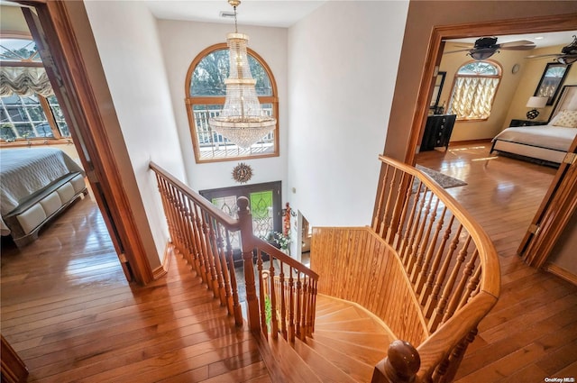 staircase with hardwood / wood-style floors and ceiling fan with notable chandelier