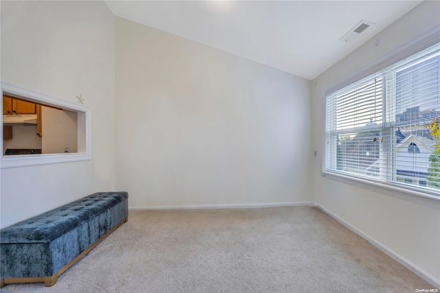 sitting room with light colored carpet and lofted ceiling