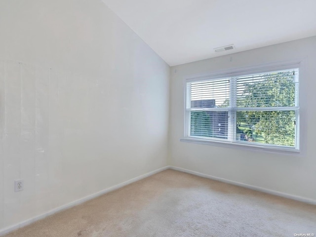 empty room with carpet, a wealth of natural light, and lofted ceiling