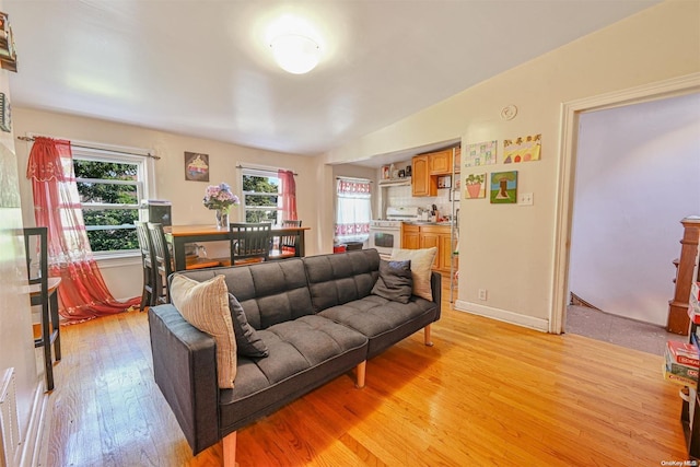 living room featuring light wood-type flooring and vaulted ceiling