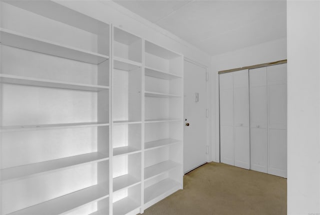 135 Post Ave Unit 6L, Westbury, NY 11590 - spacious closet featuring carpet