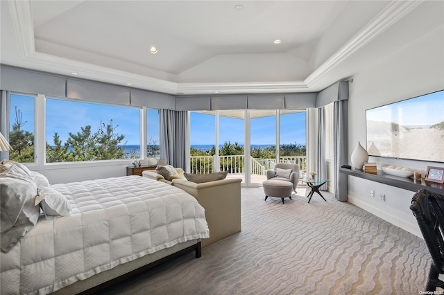 bedroom with a raised ceiling, multiple windows, carpet, and access to exterior