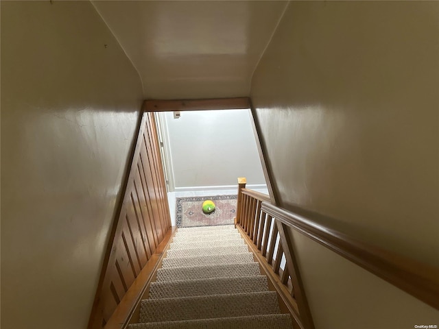 staircase featuring carpet flooring