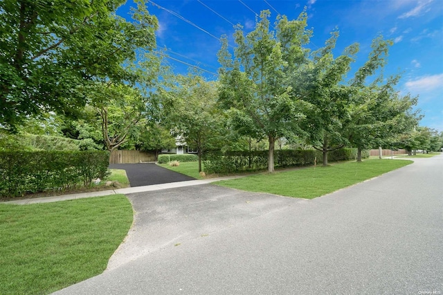 view of home's community featuring a lawn