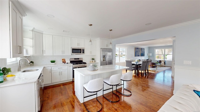 kitchen with dark wood-type flooring, stainless steel appliances, a sink, and open floor plan