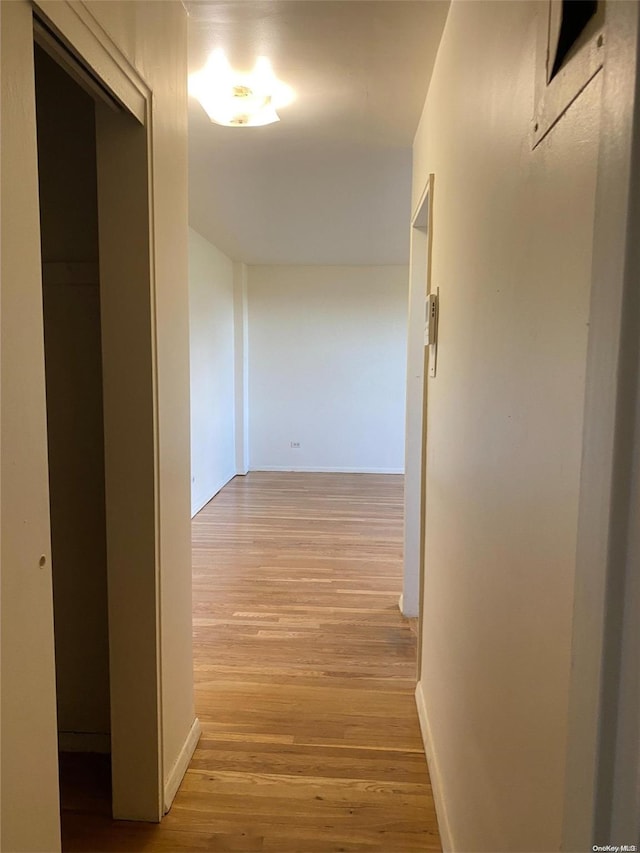 corridor featuring light hardwood / wood-style floors