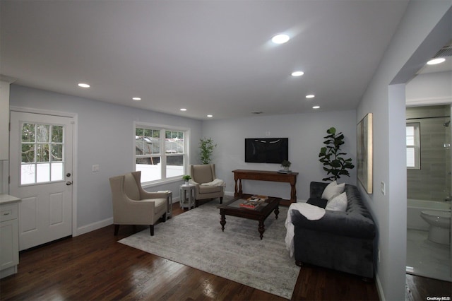 living room with dark hardwood / wood-style flooring and a wealth of natural light