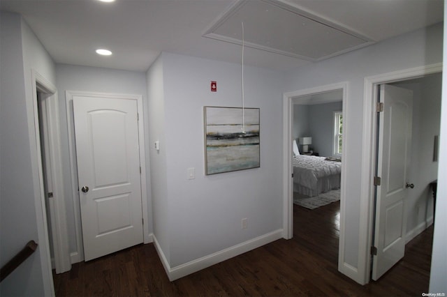 hallway featuring dark hardwood / wood-style floors