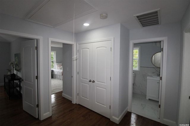 hall featuring dark wood-type flooring and a healthy amount of sunlight