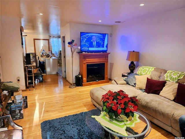 living room featuring wood-type flooring