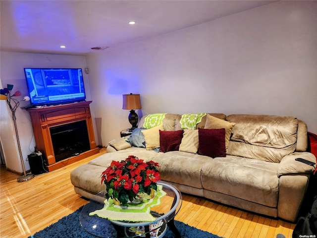 living room featuring wood-type flooring