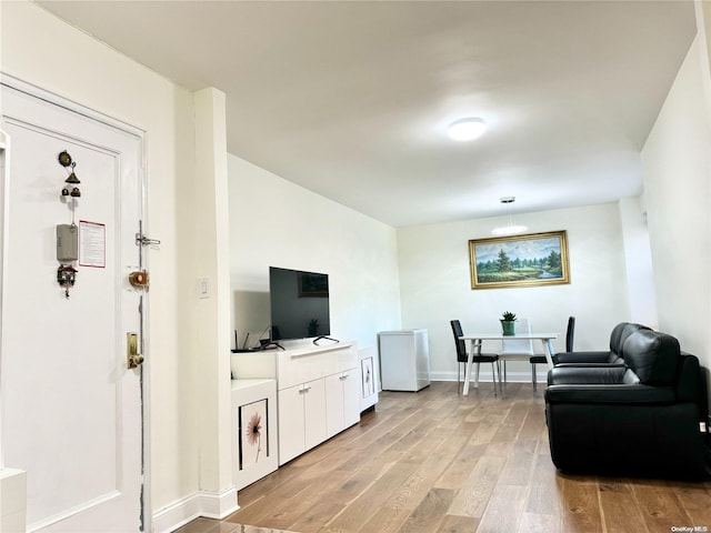 living room featuring light wood-type flooring