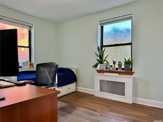 home office featuring dark hardwood / wood-style flooring and plenty of natural light