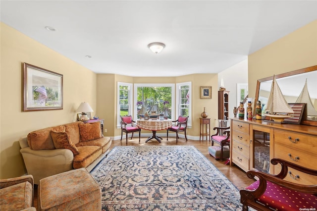 living room featuring dark hardwood / wood-style flooring