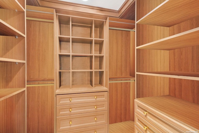 spacious closet featuring wood-type flooring