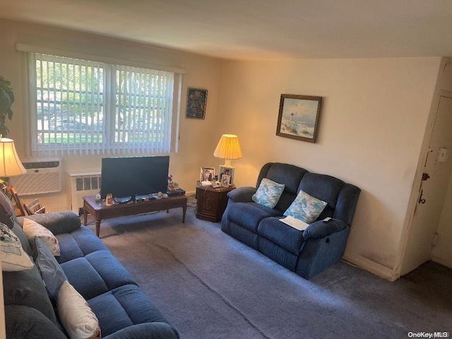 carpeted living room with radiator heating unit and a wall unit AC