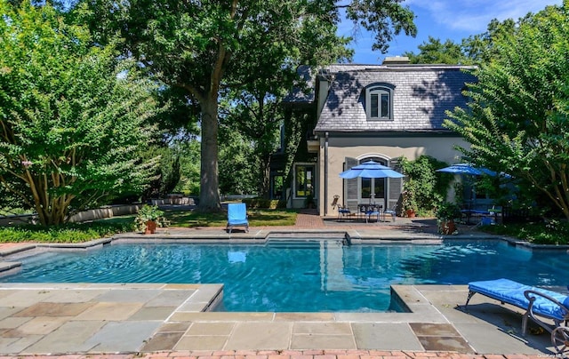 view of pool featuring a patio