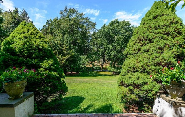 232 Cleft Rd, Mill Neck, NY 11765 - photo 27