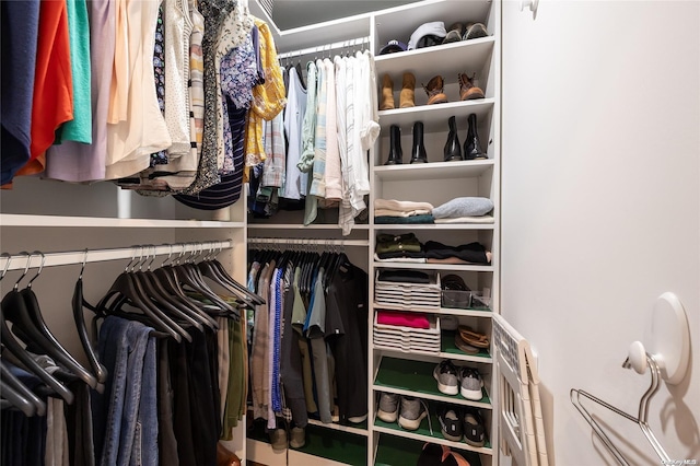 view of walk in closet