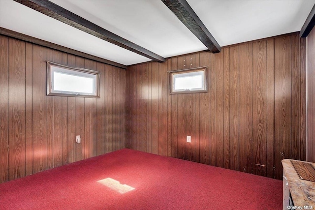 basement featuring carpet flooring, wood walls, and a healthy amount of sunlight