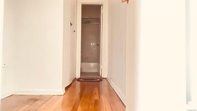 hallway with wood-type flooring