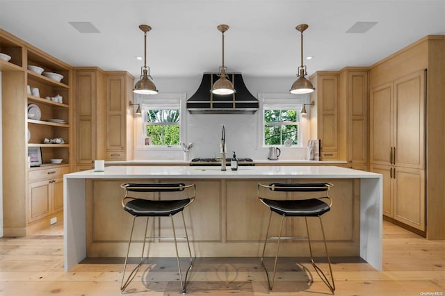 kitchen featuring light hardwood / wood-style floors, plenty of natural light, and a center island with sink