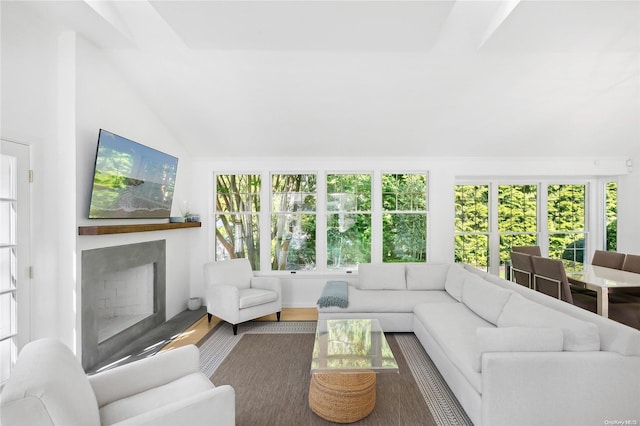 living room with dark hardwood / wood-style flooring and high vaulted ceiling