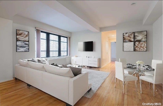 living room featuring light hardwood / wood-style flooring